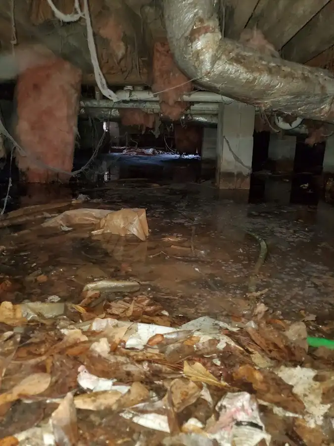 Crawl space flood assessment for Leak Detection & Repair in Live Oak